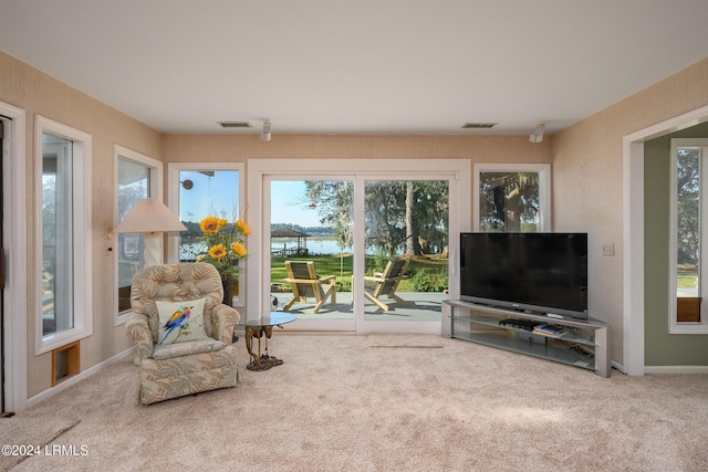 sitting room featuring carpet floors and a healthy amount of sunlight