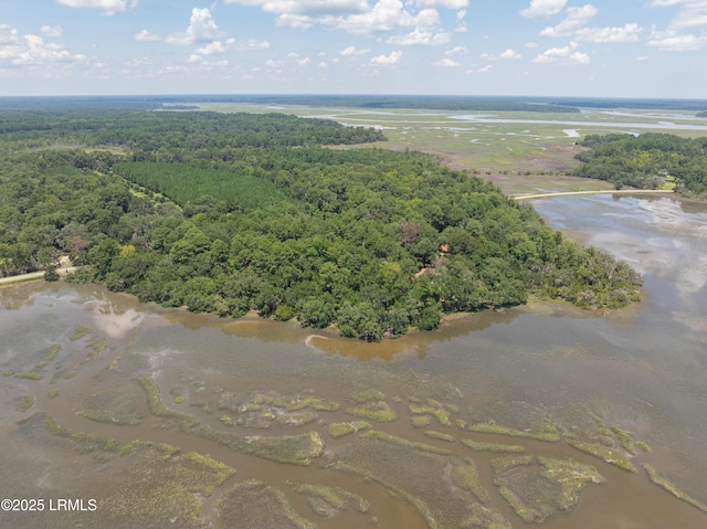 824 Knowles Island Rd, Ridgeland, SC 29936 - photo 3