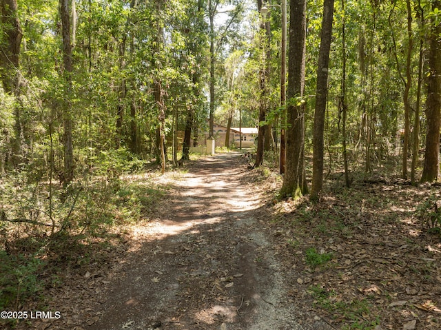 824 Knowles Island Rd, Ridgeland, SC 29936 - photo 21