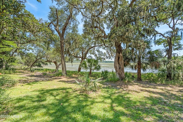 824 Knowles Island Rd, Ridgeland, SC 29936 - photo 34
