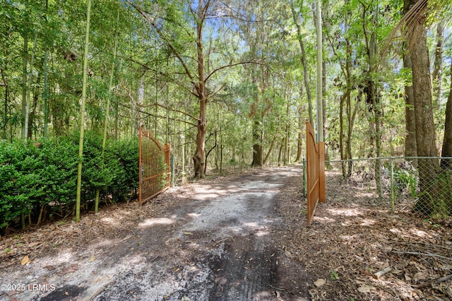 824 Knowles Island Rd, Ridgeland, SC 29936 - photo 56
