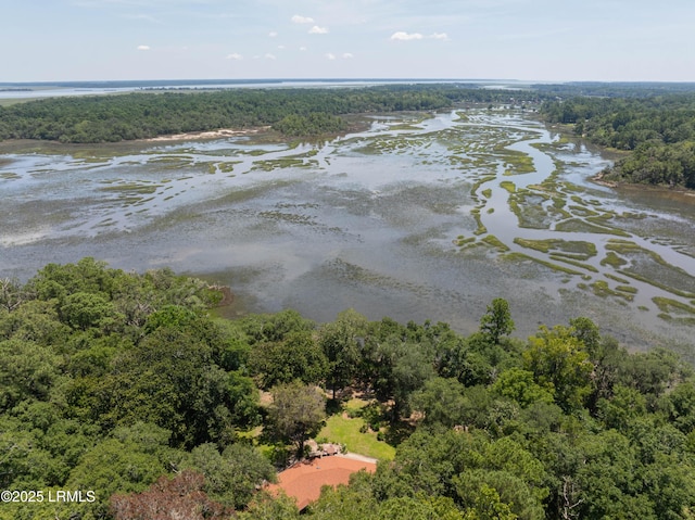 824 Knowles Island Rd, Ridgeland, SC 29936 - photo 7