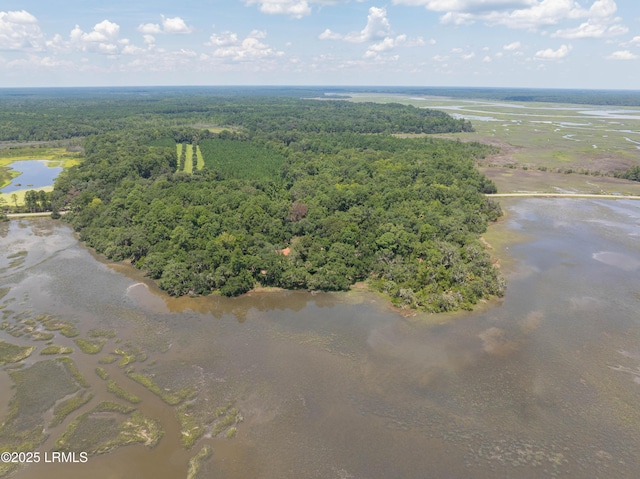 824 Knowles Island Rd, Ridgeland, SC 29936 - photo 4