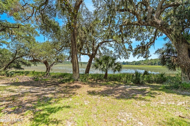824 Knowles Island Rd, Ridgeland, SC 29936 - photo 33