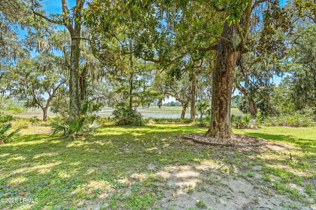 824 Knowles Island Rd, Ridgeland, SC 29936 - photo 30