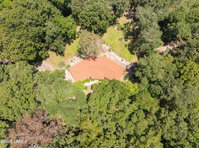 824 Knowles Island Rd, Ridgeland, SC 29936 - photo 6
