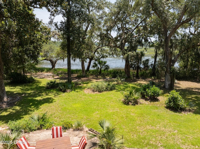 824 Knowles Island Rd, Ridgeland, SC 29936 - photo 8