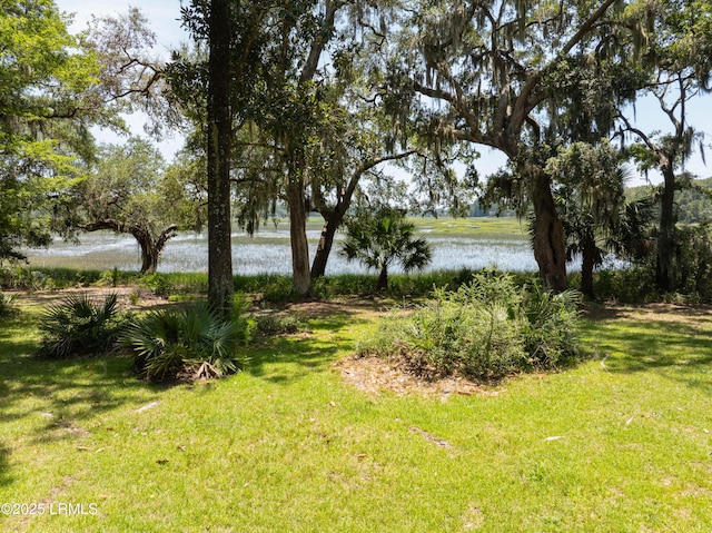 824 Knowles Island Rd, Ridgeland, SC 29936 - photo 9
