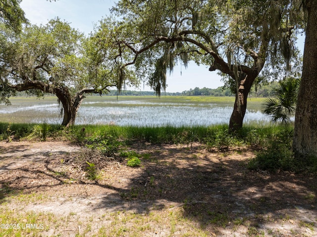 824 Knowles Island Rd, Ridgeland, SC 29936 - photo 11