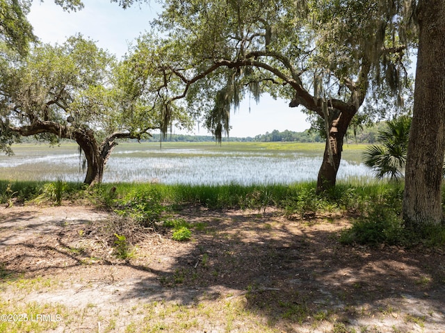 824 Knowles Island Rd, Ridgeland, SC 29936 - photo 10