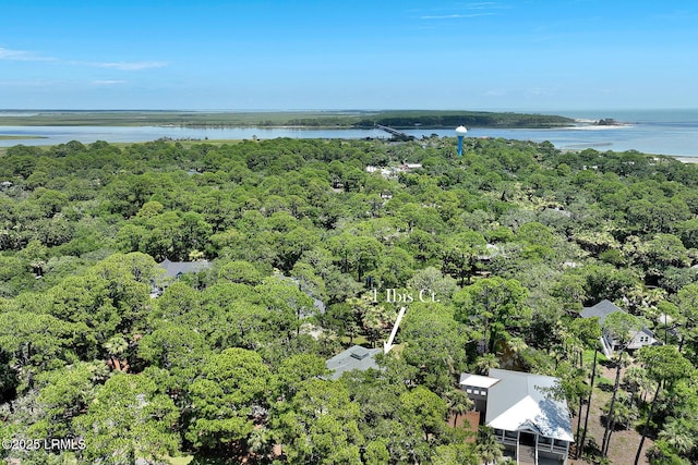 1 Ibis Ct, Fripp Island, SC 29920 - photo 59