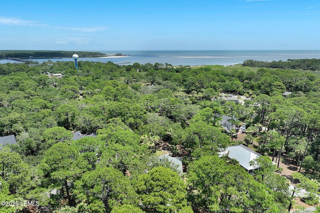1 Ibis Ct, Fripp Island, SC 29920 - photo 65