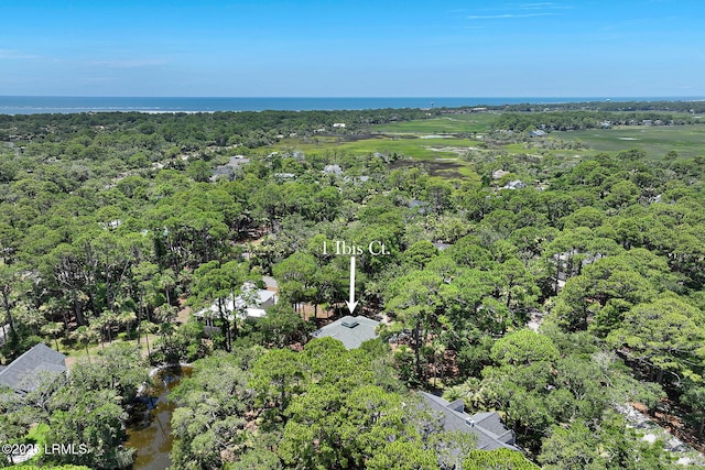 1 Ibis Ct, Fripp Island, SC 29920 - photo 55