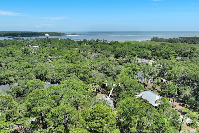 1 Ibis Ct, Fripp Island, SC 29920 - photo 60