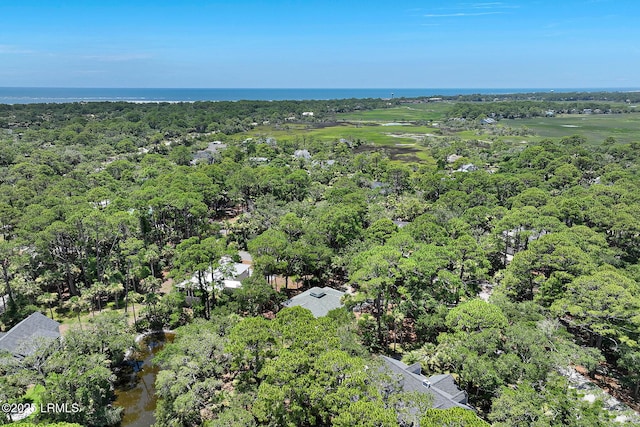 1 Ibis Ct, Fripp Island, SC 29920 - photo 70