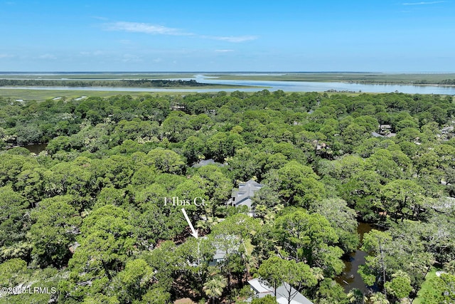 1 Ibis Ct, Fripp Island, SC 29920 - photo 58