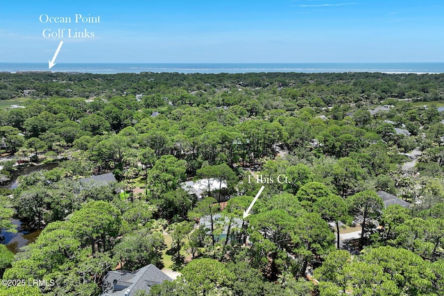 1 Ibis Ct, Fripp Island, SC 29920 - photo 54