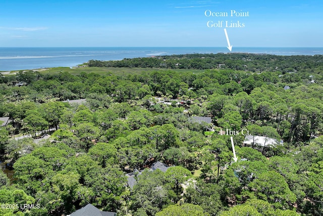 1 Ibis Ct, Fripp Island, SC 29920 - photo 53