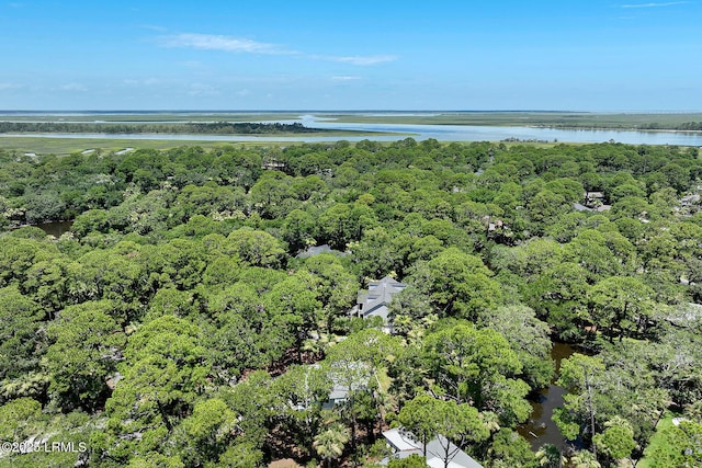 1 Ibis Ct, Fripp Island, SC 29920 - photo 67