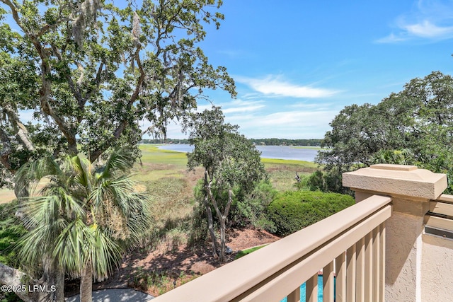 59 Turnbridge Dr, Hilton Head Island, SC 29928 - photo 53