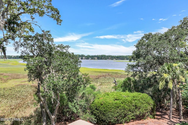 59 Turnbridge Dr, Hilton Head Island, SC 29928 - photo 54