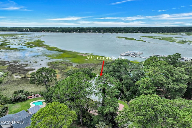 59 Turnbridge Dr, Hilton Head Island, SC 29928 - photo 79