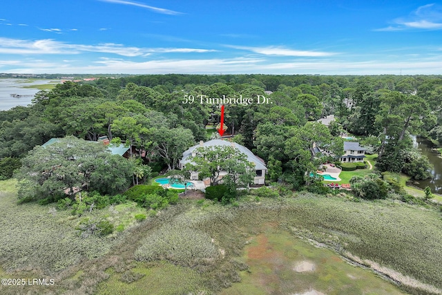 59 Turnbridge Dr, Hilton Head Island, SC 29928 - photo 83