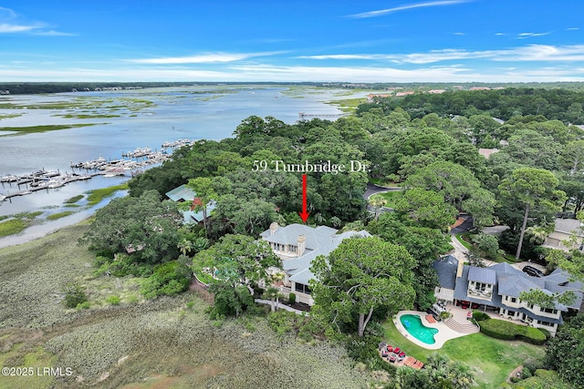 59 Turnbridge Dr, Hilton Head Island, SC 29928 - photo 82