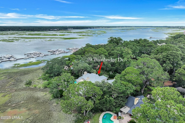 59 Turnbridge Dr, Hilton Head Island, SC 29928 - photo 81