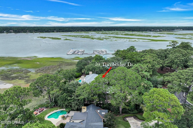 59 Turnbridge Dr, Hilton Head Island, SC 29928 - photo 80