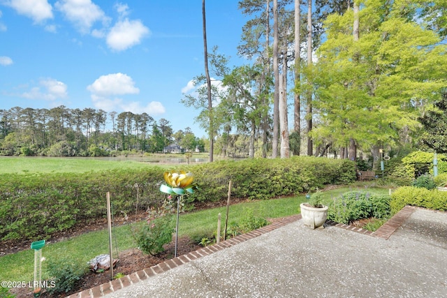 44 Richland Dr, Bluffton, SC 29910 - view of yard
