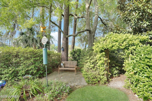 44 Richland Dr, Bluffton, SC 29910 - view of community featuring a patio
