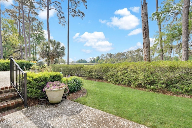 44 Richland Dr, Bluffton, SC 29910 - view of yard