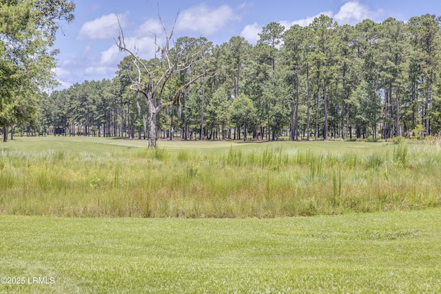 300 Persimmon Cir, Hardeeville, SC 29927 - view of woods