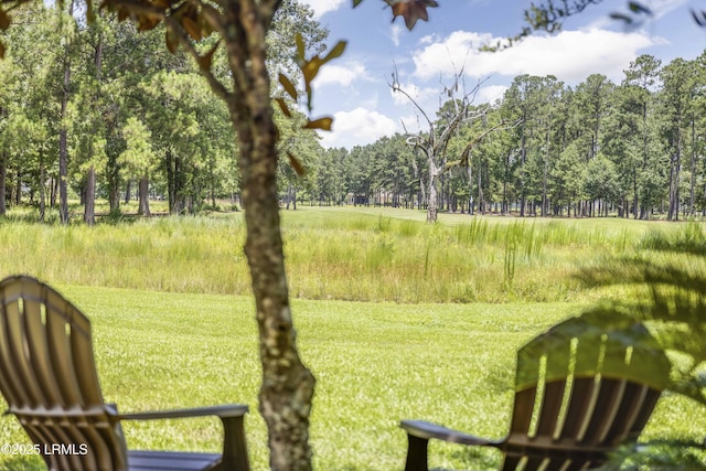 300 Persimmon Cir, Hardeeville, SC 29927 - view of yard