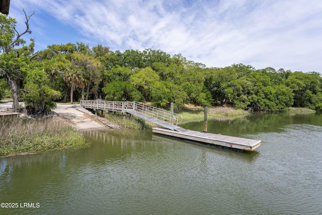 315 Distant Island Dr, Beaufort, SC 29907 - photo 66