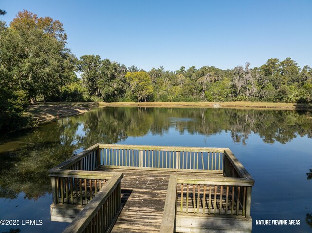 315 Distant Island Dr, Beaufort, SC 29907 - photo 63