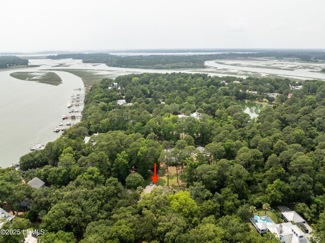 315 Distant Island Dr, Beaufort, SC 29907 - photo 58