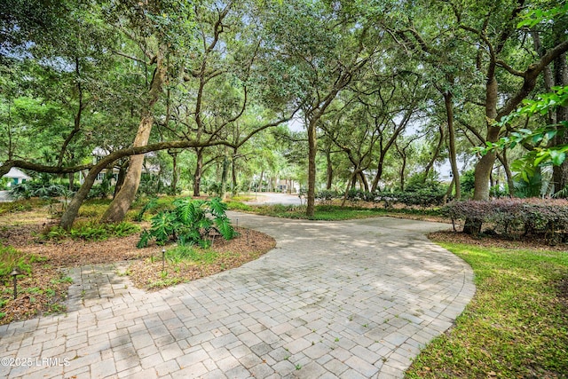 315 Distant Island Dr, Beaufort, SC 29907 - photo 29