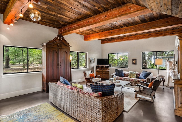 living room featuring concrete flooring and beam ceiling