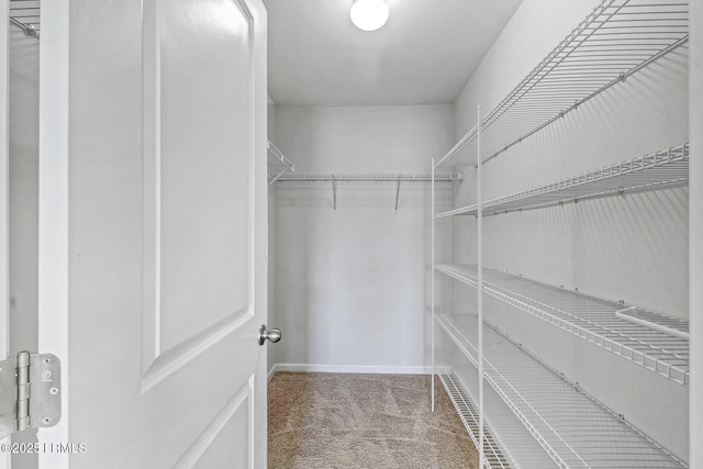 spacious closet with carpet floors