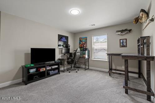 1224 Danner Dr, Okatie, SC 29909 - photo 28