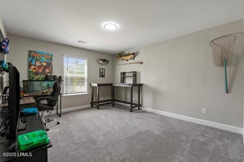 1224 Danner Dr, Okatie, SC 29909 - photo 27