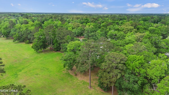51 White Oaks Cir, Bluffton, SC 29910 - bird's eye view of a forest