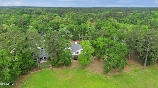 51 White Oaks Cir, Bluffton, SC 29910 - view from above of property with a heavily wooded area