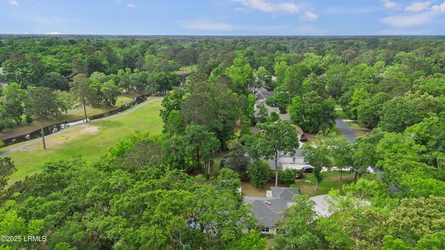 51 White Oaks Cir, Bluffton, SC 29910 - aerial overview of property's location with a heavily wooded area