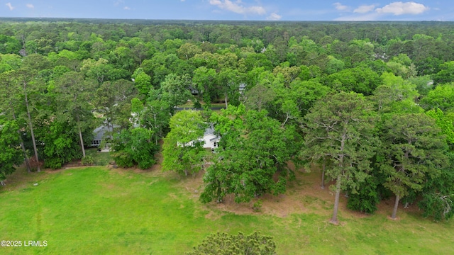 51 White Oaks Cir, Bluffton, SC 29910 - view from above of property with a heavily wooded area