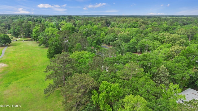 51 White Oaks Cir, Bluffton, SC 29910 - aerial view of property and surrounding area with a heavily wooded area