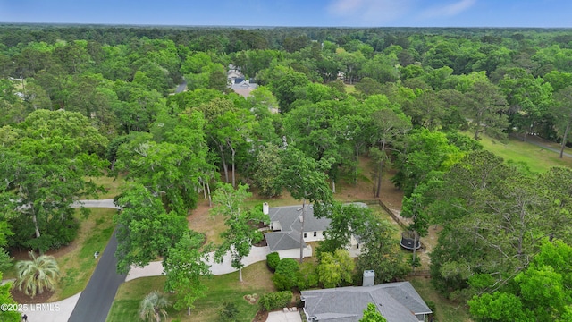 51 White Oaks Cir, Bluffton, SC 29910 - aerial overview of property's location with a heavily wooded area