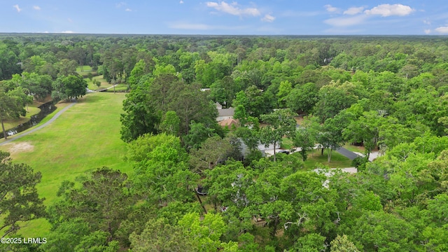 51 White Oaks Cir, Bluffton, SC 29910 - drone / aerial view of a forest